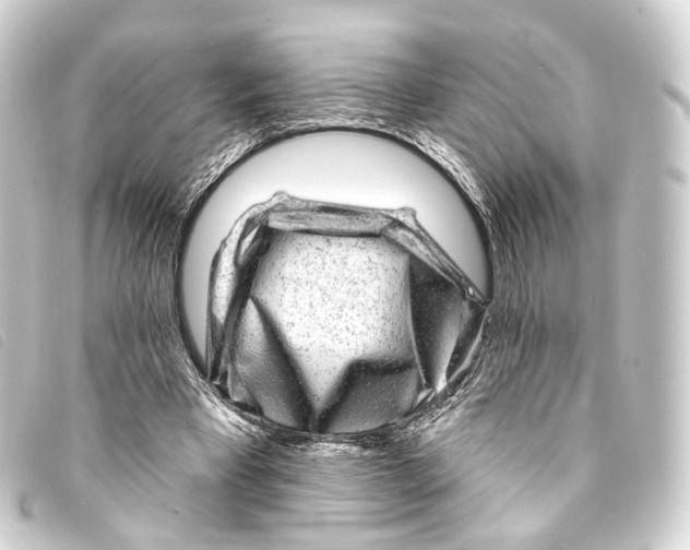 X0000093210393200710241201