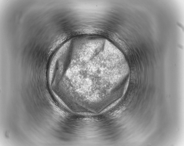 X0000093210394200710241201