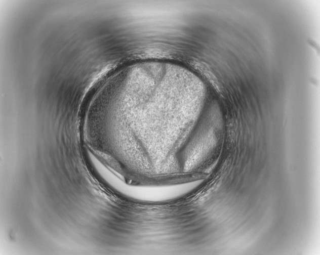 X0000093210395200710241201