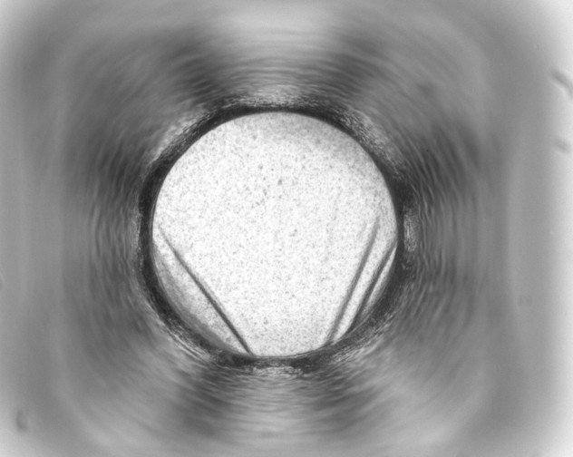 X0000093210396200710241201