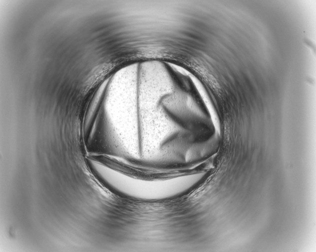 X0000093210397200710241201