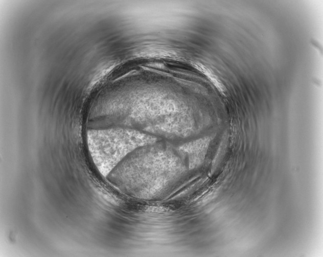 X0000093210399200710241201