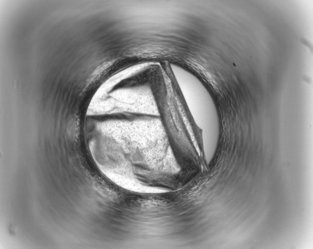 X0000093210400200710241201