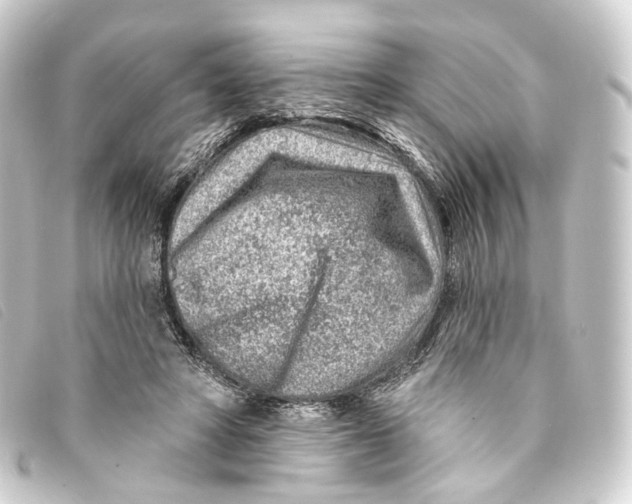 X0000093210402200710241201