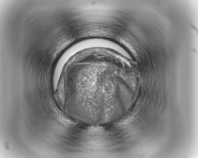 X0000093210403200710241201