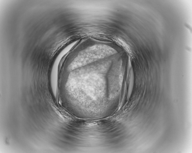 X0000093210405200710241201