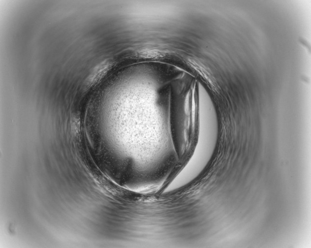 X0000093210407200710241201