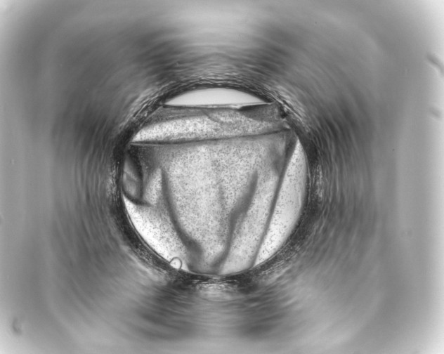 X0000093210408200710241201