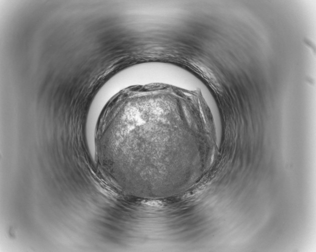 X0000093210409200710241201