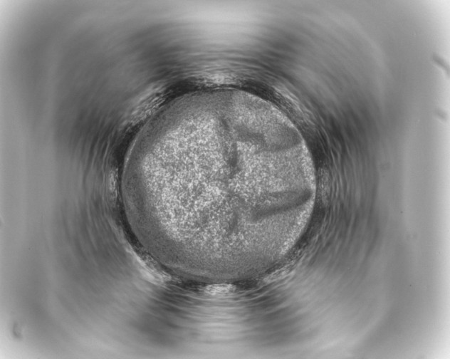 X0000093210410200710241201