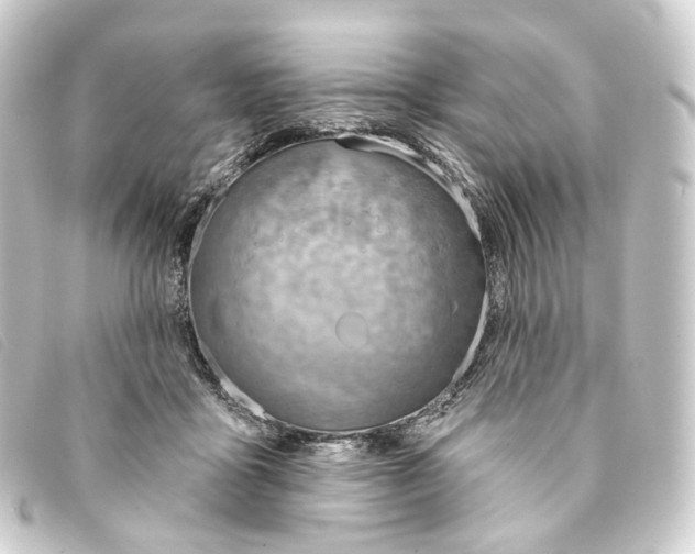 X0000093210411200710241201