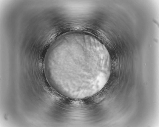 X0000093210415200710241201