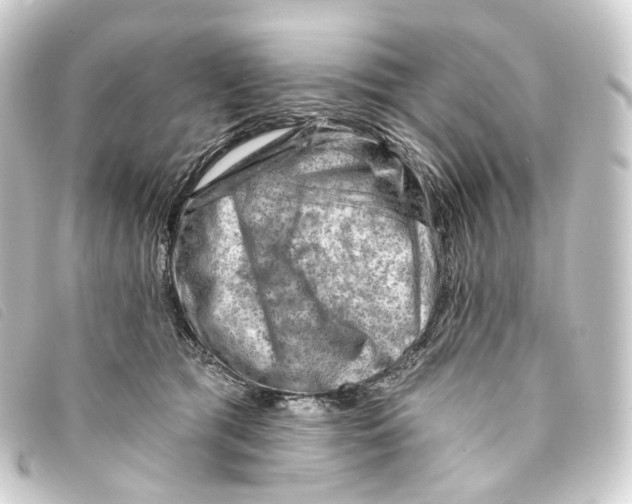 X0000093210417200710241201