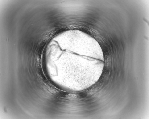 X0000093210418200710241201