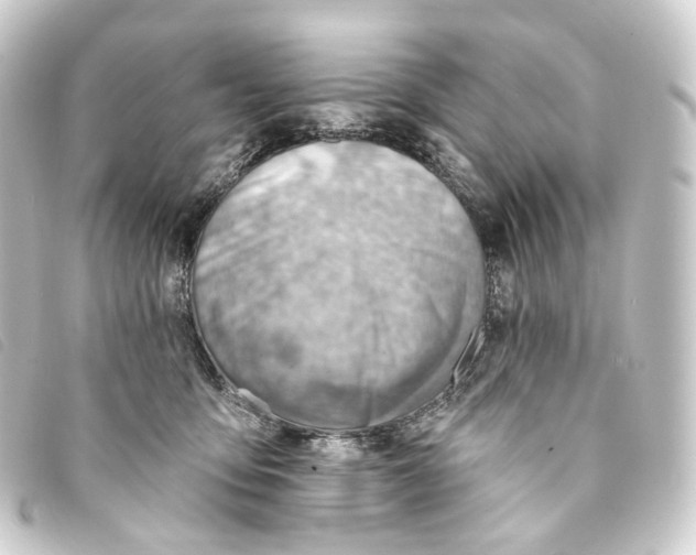 X0000093210419200710241201