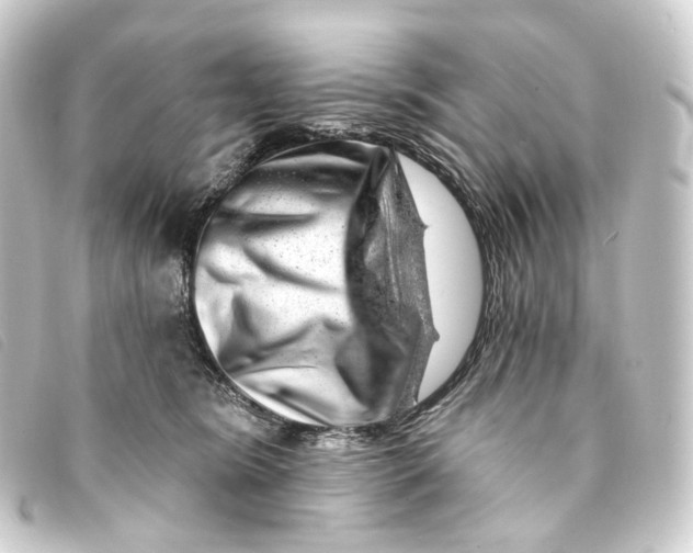 X0000093210420200710241201
