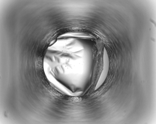 X0000093210421200710241201