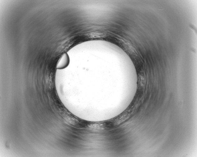 X0000093210422200710241201