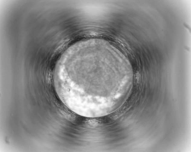 X0000093210423200710241201