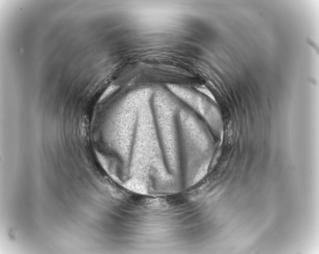 X0000093210424200710241201