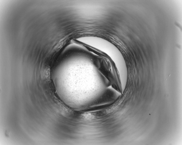 X0000093210425200710241201