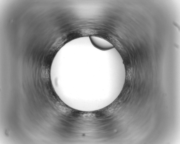 X0000093210426200710241201