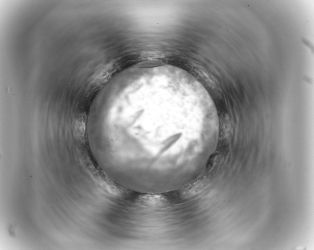 X0000093210427200710241201