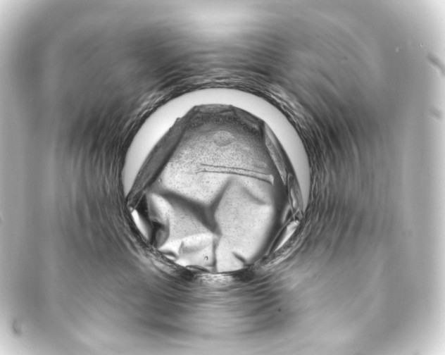 X0000093210429200710241201