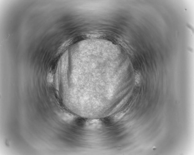 X0000093210431200710241201