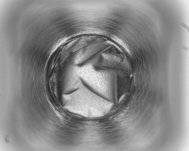 X0000093210436200710241200