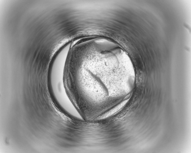 X0000093210438200710241200