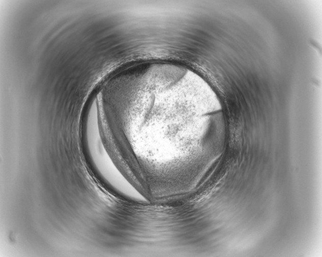 X0000093210439200710241200