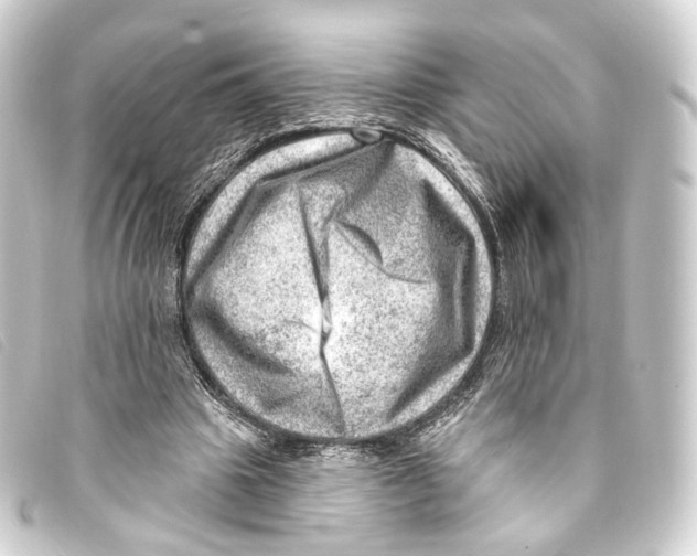 X0000093210441200710241200