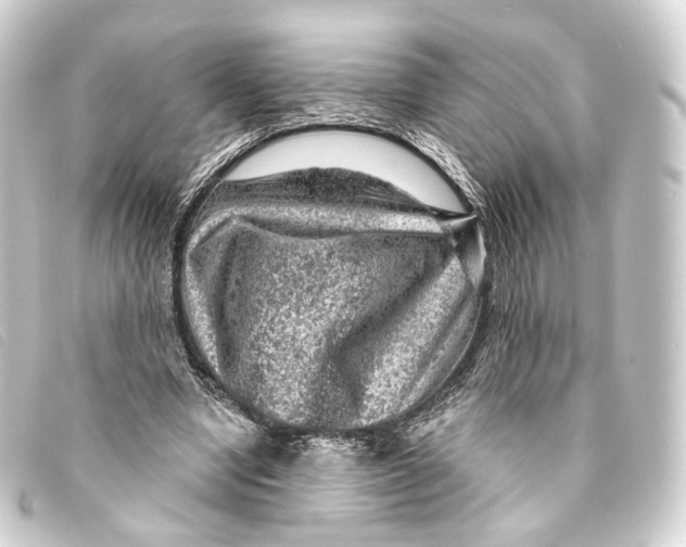 X0000093210442200710241200