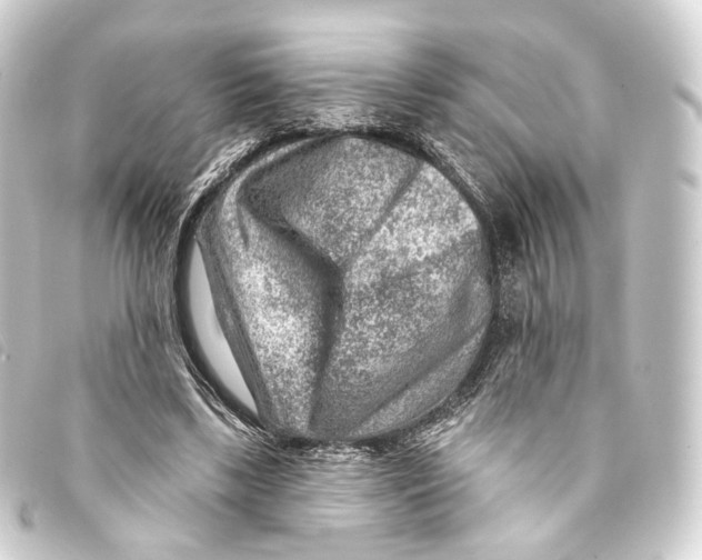 X0000093210443200710241200