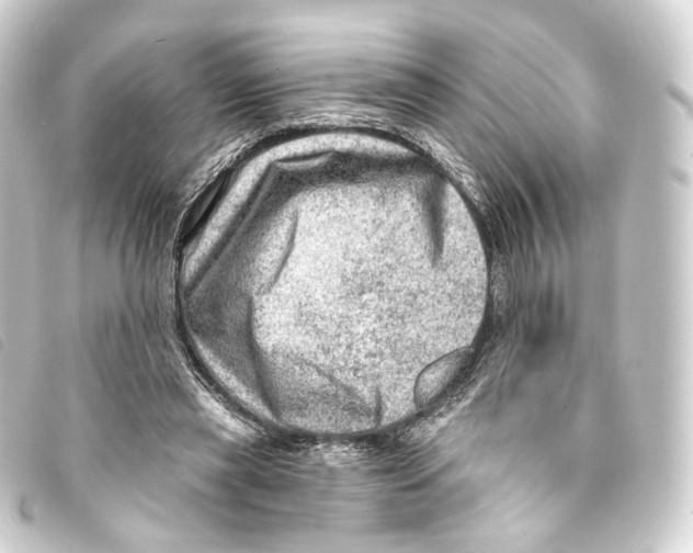 X0000093210445200710241200