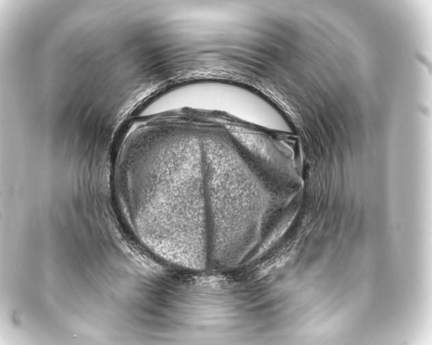 X0000093210446200710241200