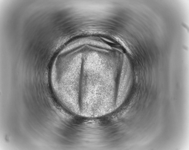 X0000093210447200710241200