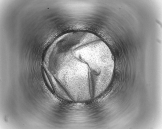 X0000093210449200710241200