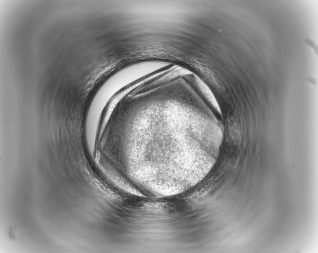 X0000093210450200710241200