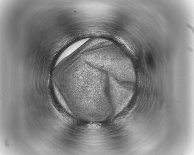 X0000093210451200710241200