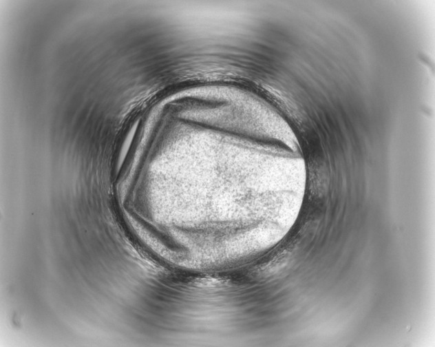X0000093210453200710241200