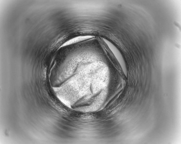 X0000093210454200710241200