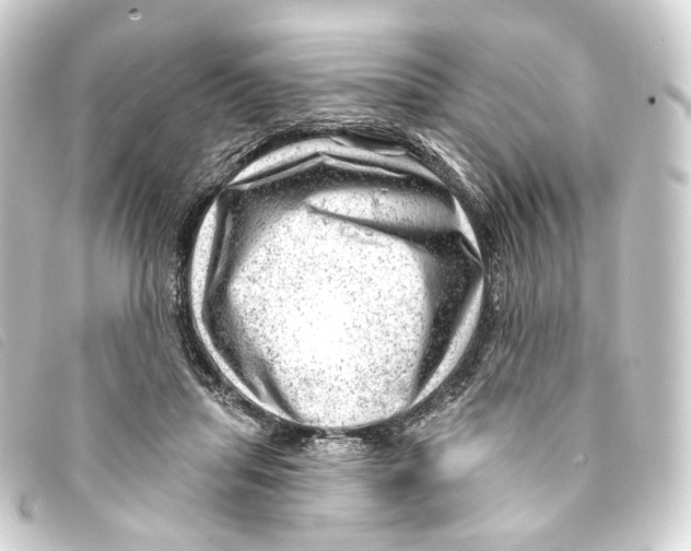 X0000093210455200710241200