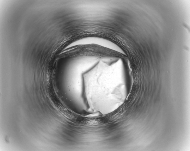 X0000093210456200710241200