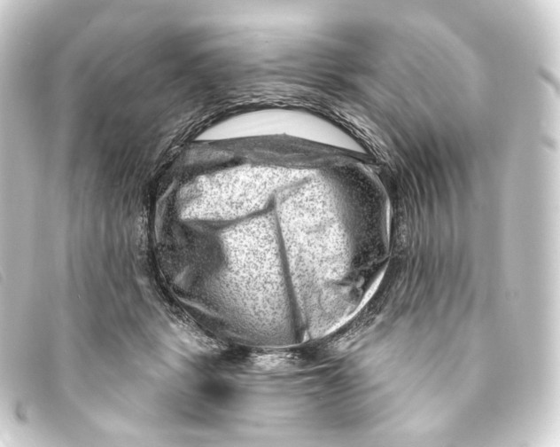 X0000093210461200710241200