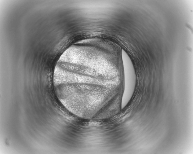X0000093210462200710241200