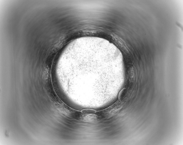 X0000093210463200710241200