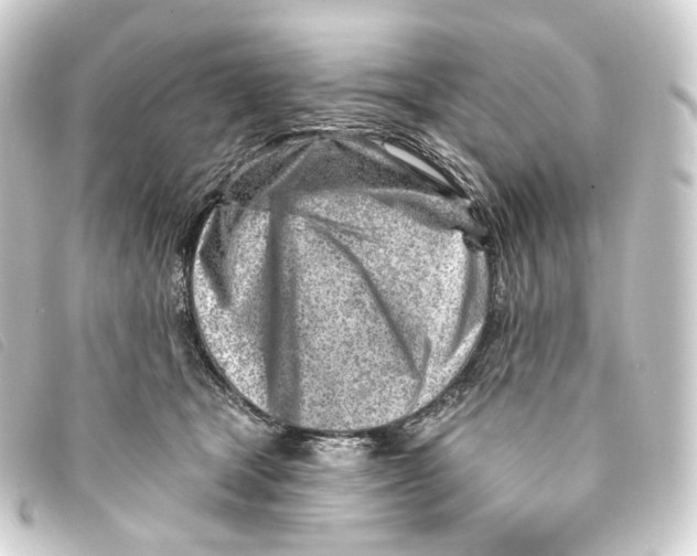 X0000093210465200710241200