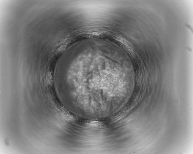 X0000093210467200710241200